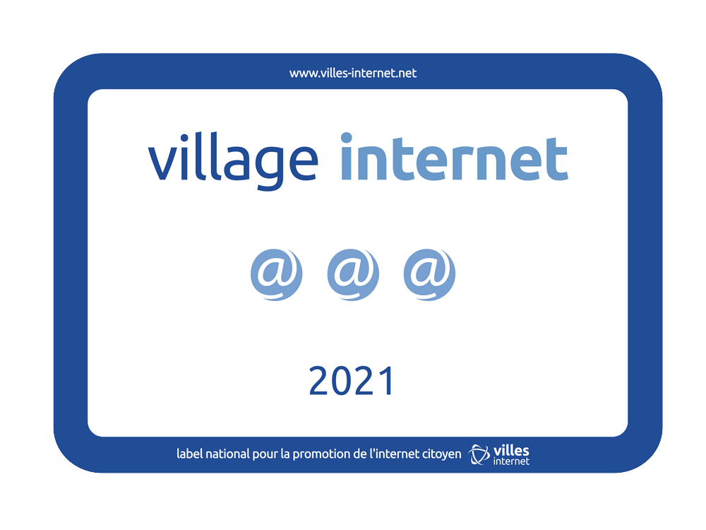 village 3 2021 1000